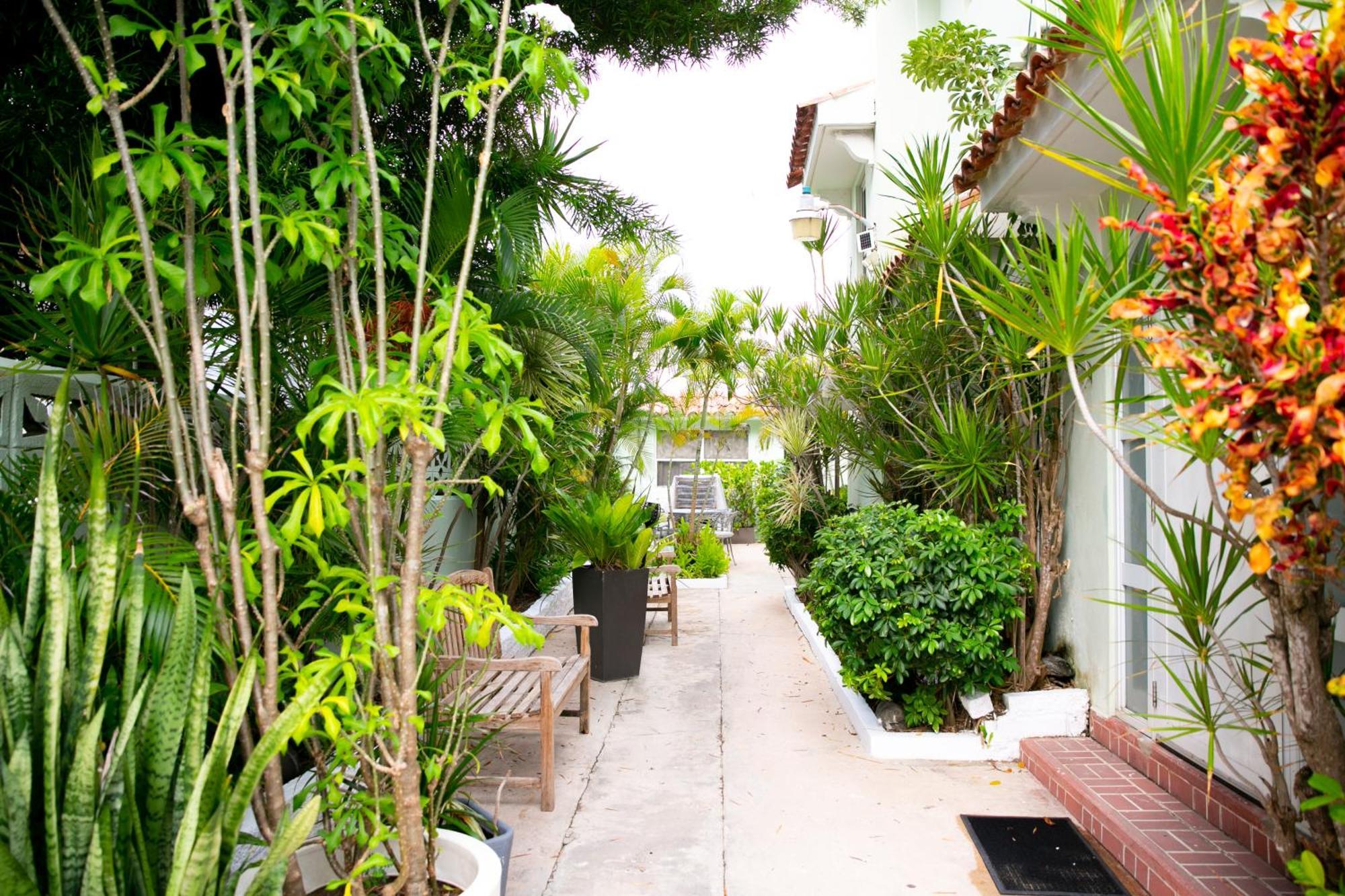 سان خوان Numero Uno Beach Apartments المظهر الخارجي الصورة